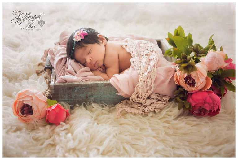 Houston Tx Newborn baby girl flowers basket lace photo
