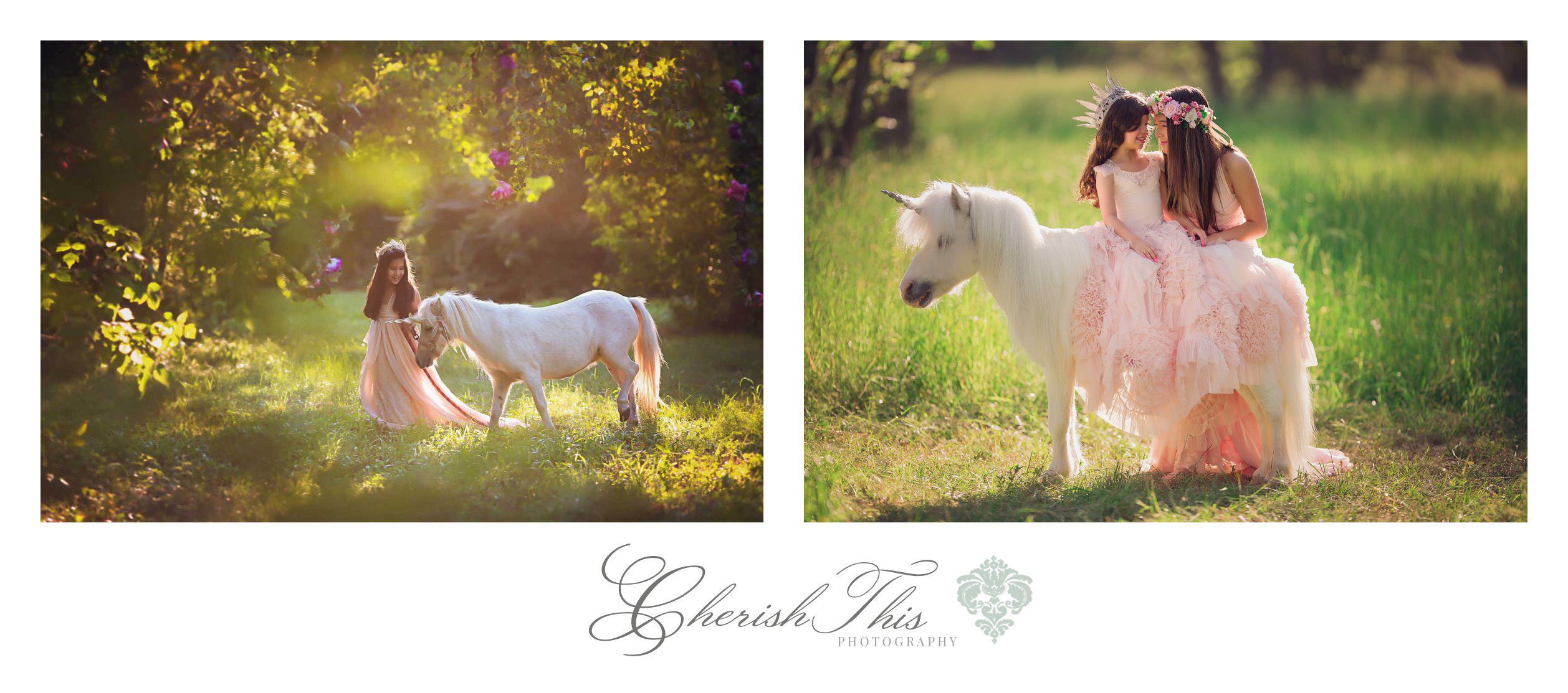 Houston Family Photographer | Unicorn sessions | Cherish This Photography | www.cherishthisbyashley.com