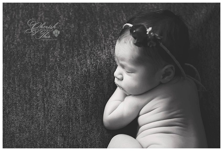 Heights Family Photographer