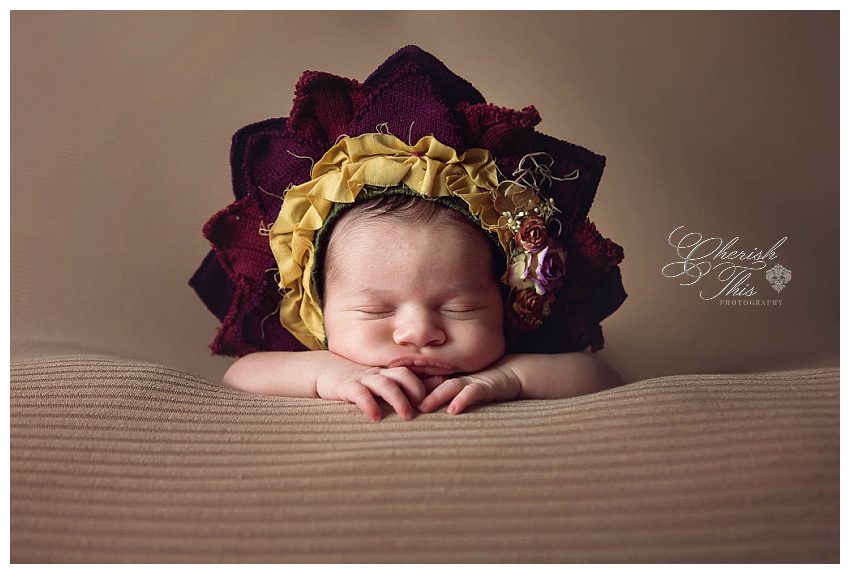 Heights Family Photographer