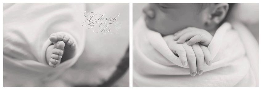 Heights Family Photographer