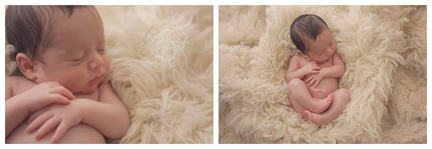 Houston Luxury Newborn Photographer