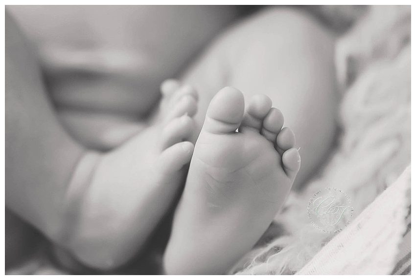 Houston Luxury Newborn Photographer