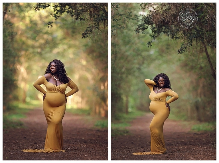 Luxury Maternity Photographer in Houston, TX