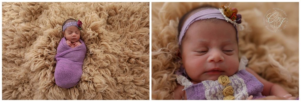 Houston Newborn Studio Photographer