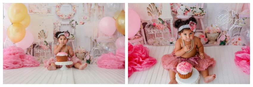 Shabby Chic Cake Smash Photographer in Houston