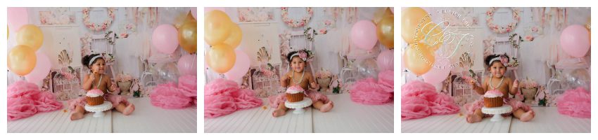 Shabby Chic Cake Smash Photographer in Houston